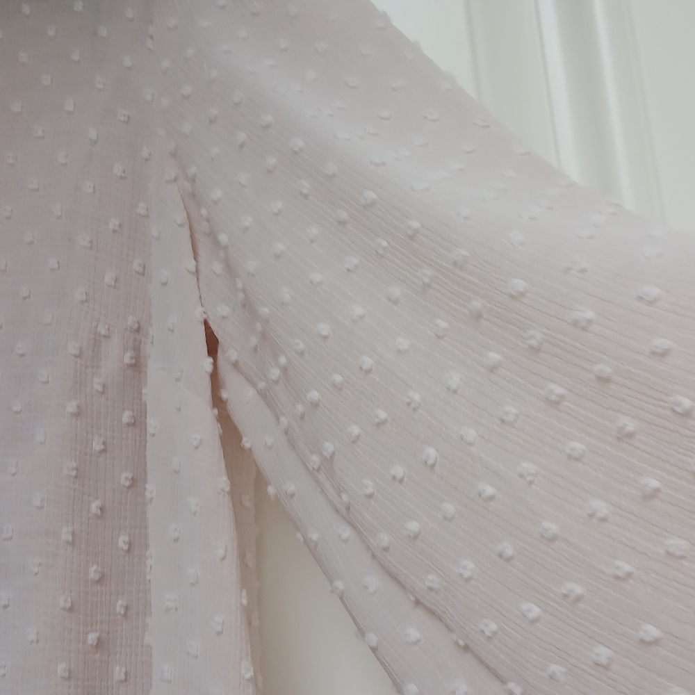 Sheer Polka Dot Dress - Picture 3 of 5